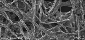Científicos crean batería sodio sostenible de sodio y fibras de madera